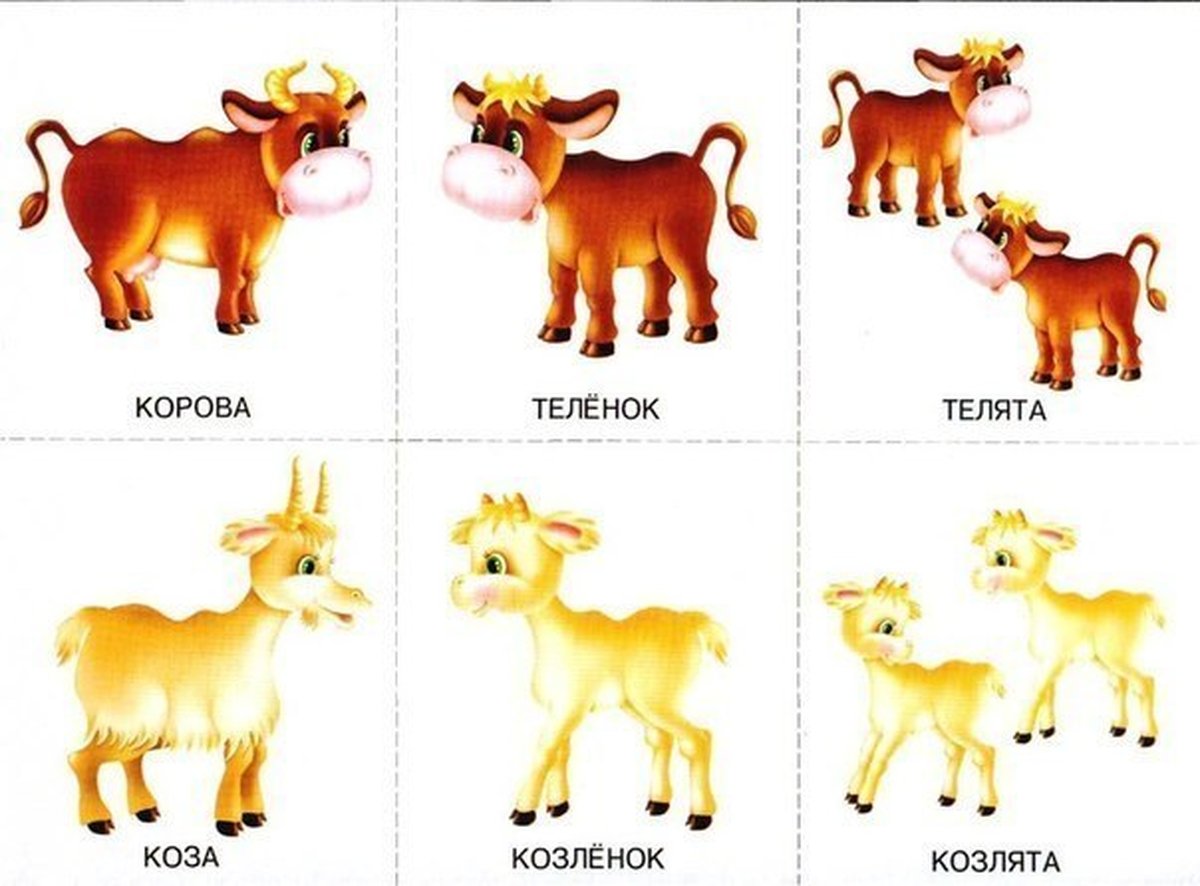 Карточки с изображением животных и их детенышей