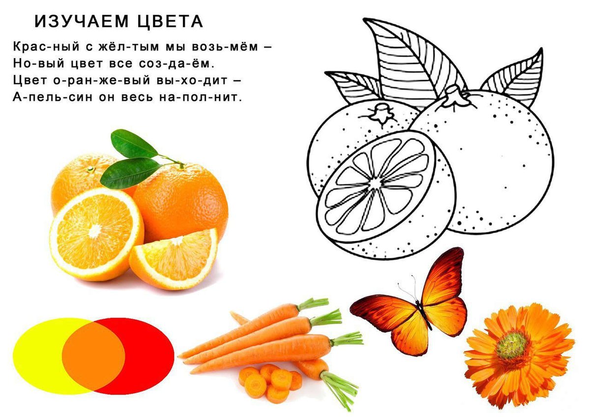 предметы оранжевого цвета картинки для детей