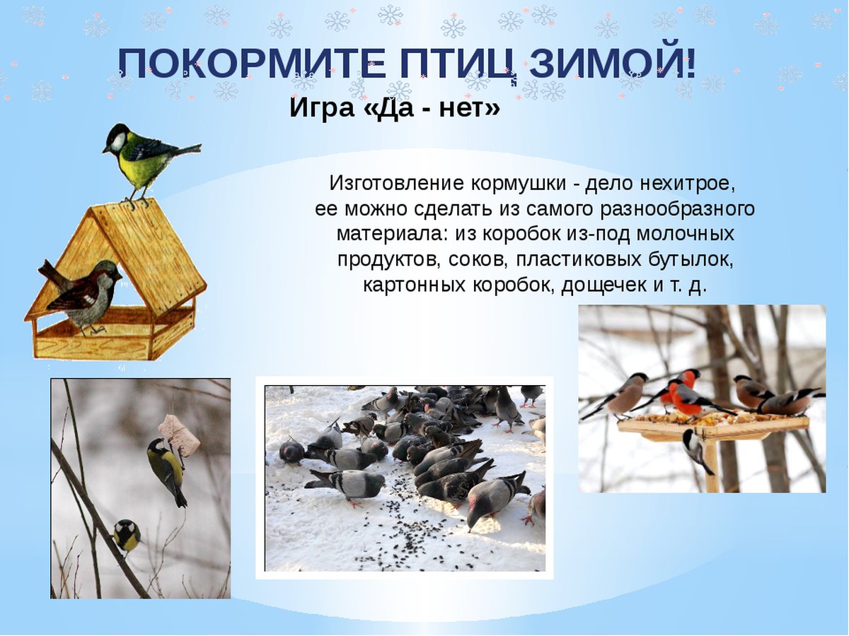 Накорми зимующих птиц