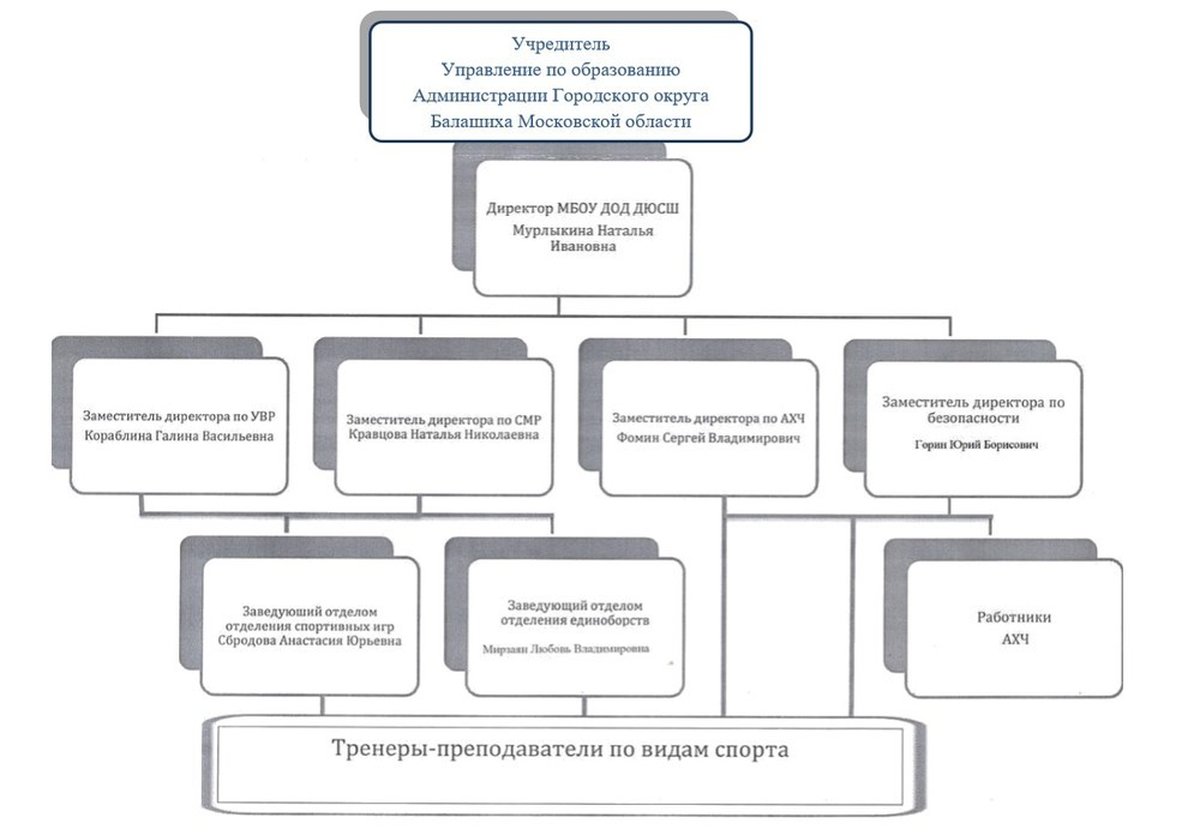 Организационная структура дюсш схема