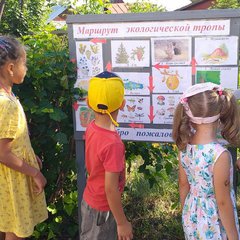 Экологическая тропа детского сада