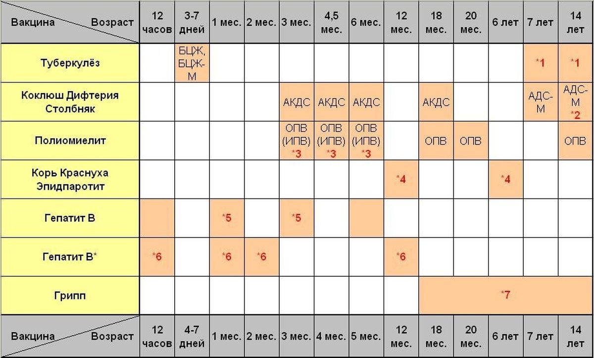 Прививочному календарю план прививок составляет врач педиатр индивидуально