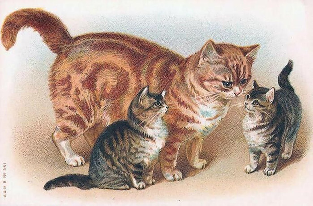 Картина для детей кошка с котятами