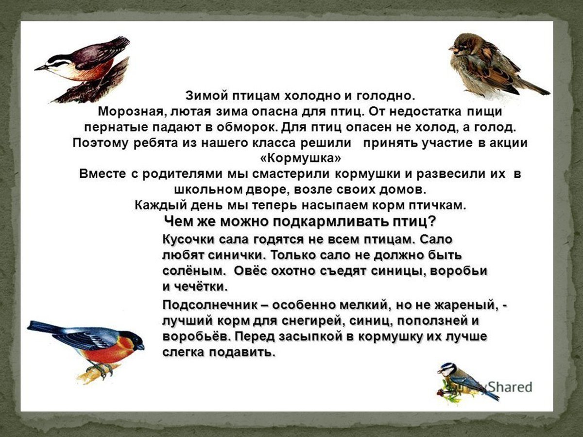 Сочинение рассуждение птицы. Сочинение про птиц. Сочинение на тему птичка. Холодно и голодно птицам зимой. Почему птицам зимой холодно.