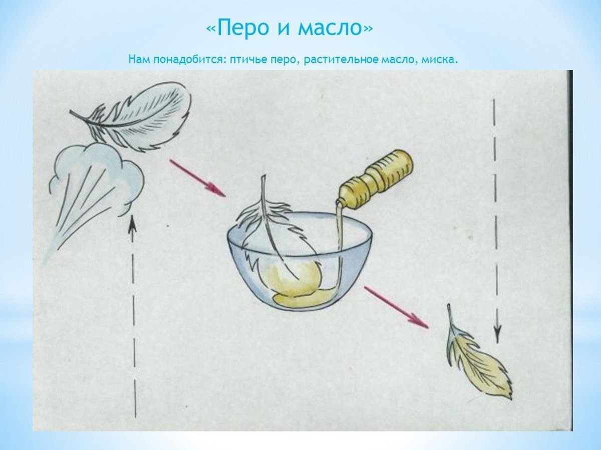 Блог опыт. Картотека карточек схем по проведению опытов и экспериментов. Схема эксперимента для дошкольников. Схемы проведения опытов. Схема опытов для дошкольников.