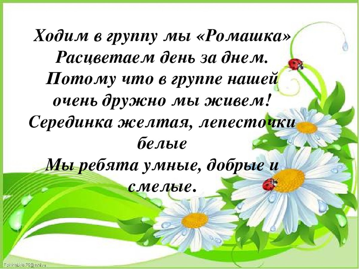 Группа ромашки. Девиз группы Ромашка. Группа Ромашка в детском саду. Девиз группы Ромашка в детском саду. Девиз ромашки для детского сада.