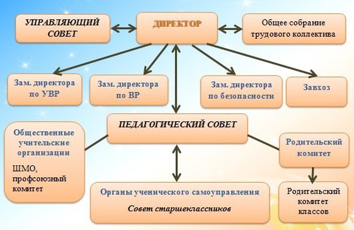 Структура и органы управления образовательной организацией