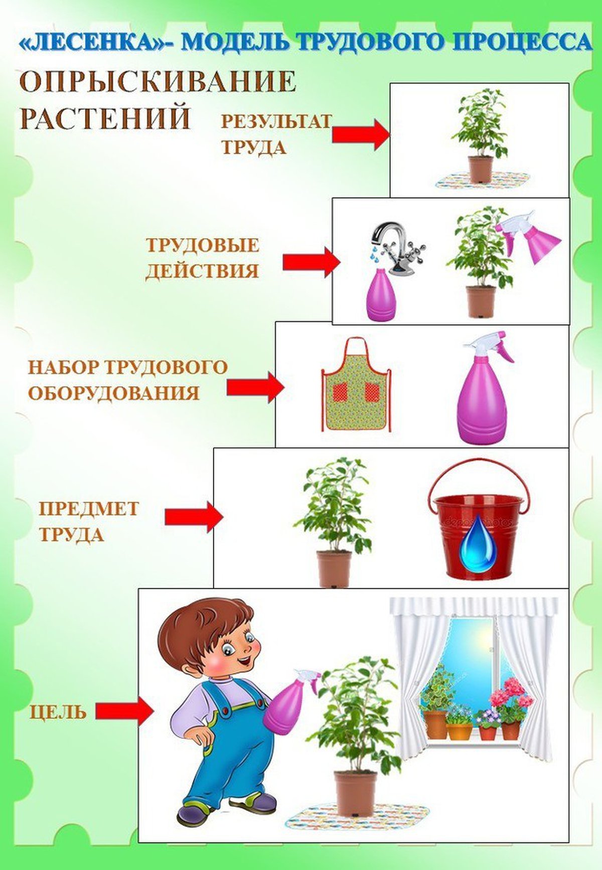 Схема полива комнатных растений