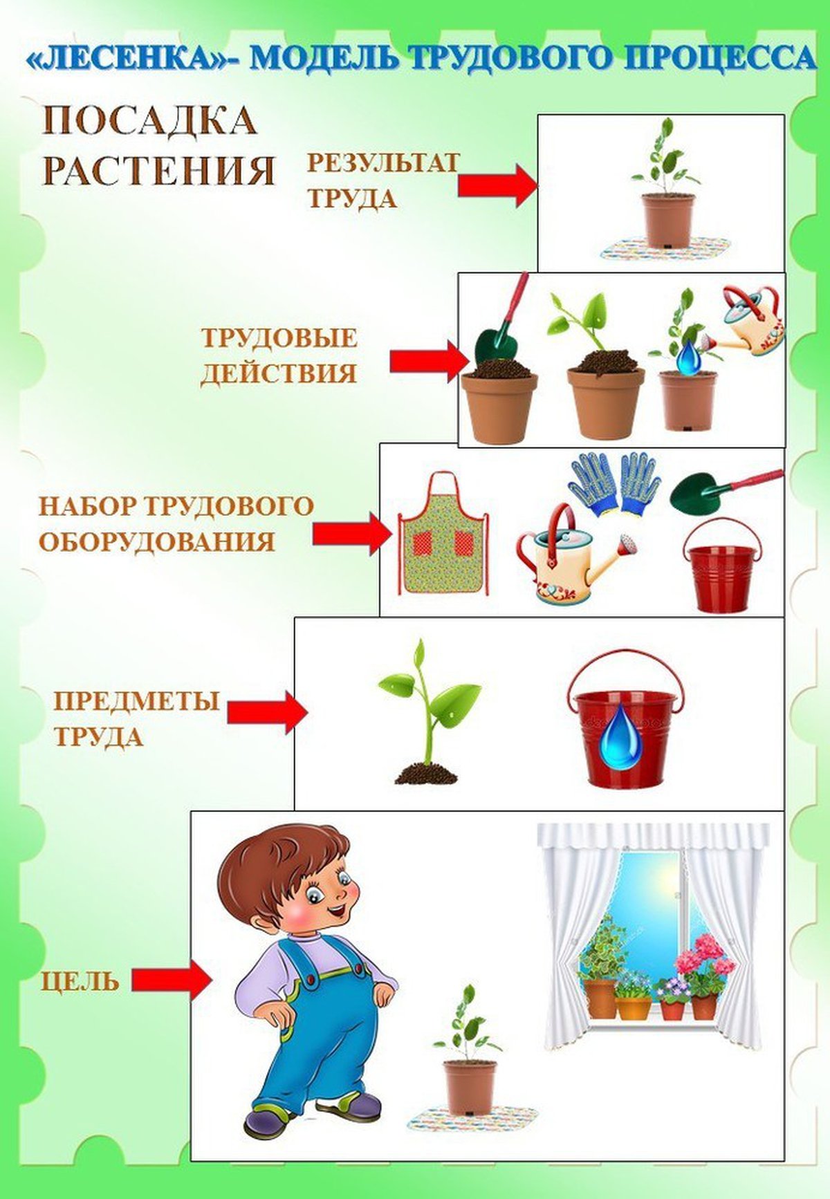 Алгоритм ухаживания за растениями в детском саду