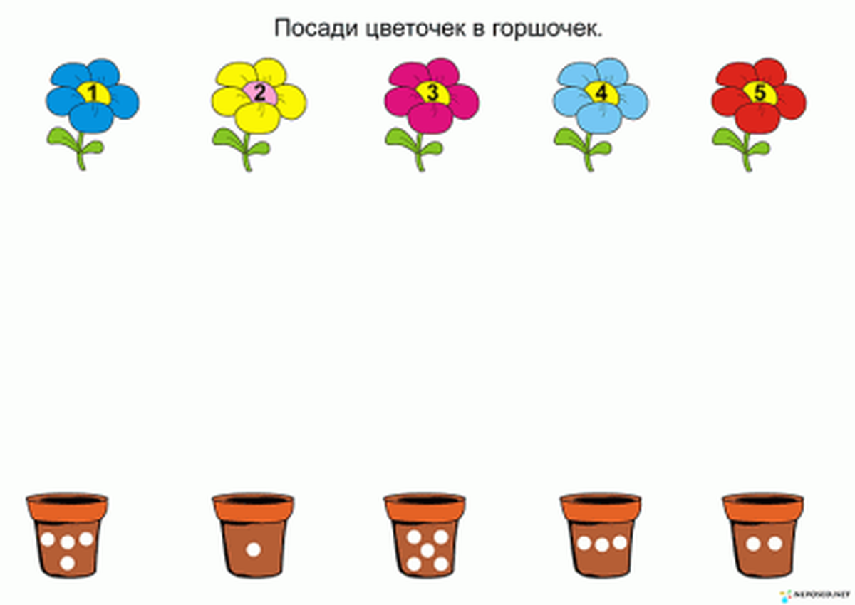 Растения для дошкольников картинки