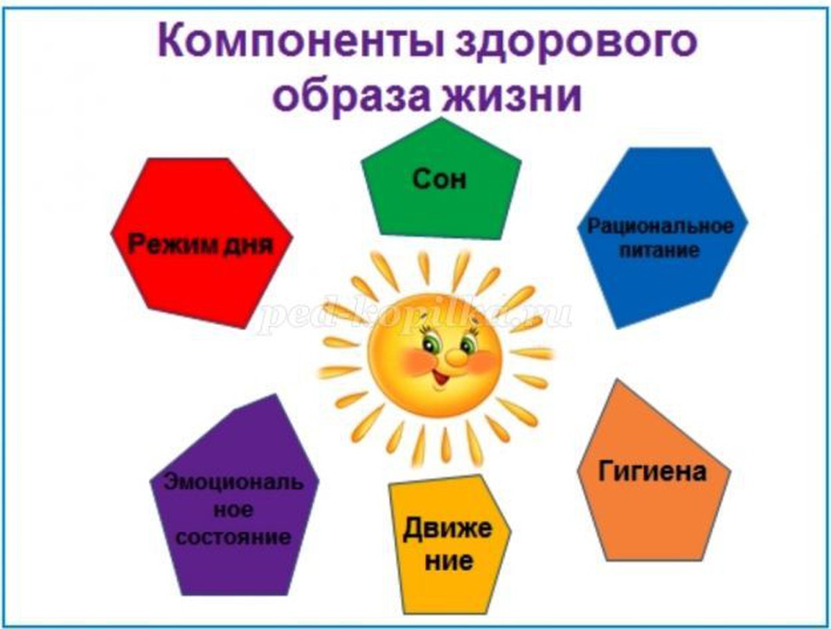 Факторы здорового образа жизни. Факторы здорового образа жизни ребенка. Факторы здорового образа жизни дошкольника. Составляющие факторы здорового образа жизни детей дошкольников. Письменно составляющие факторы здорового образа жизни