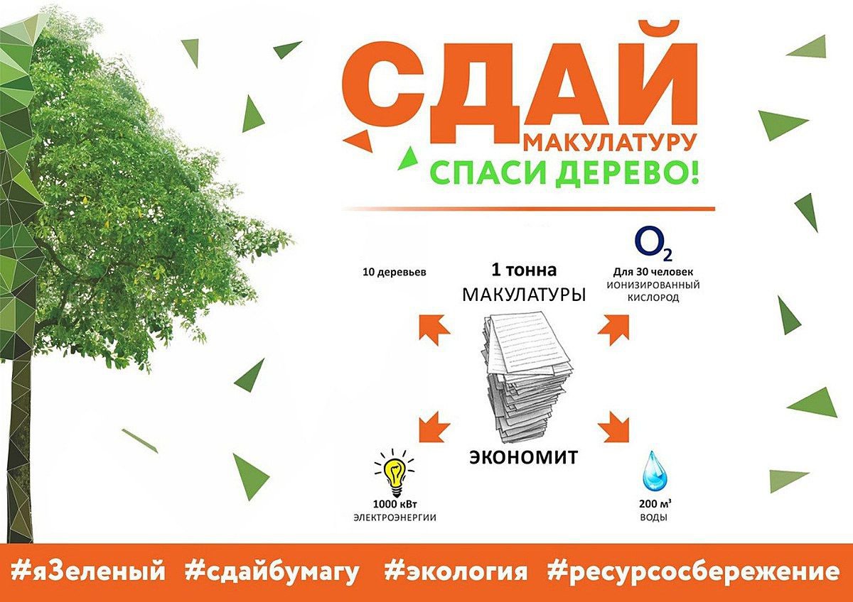 Картинка собери макулатуру сохрани дерево