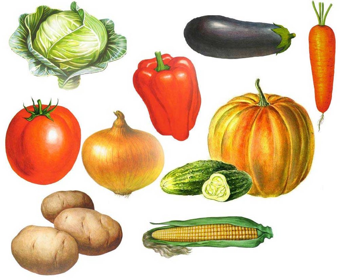 Игра называется овощи. Овощи для детей. Овощи для детей дошкольного возраста. Карточки с изображением овощей. Наглядный материал овощи.