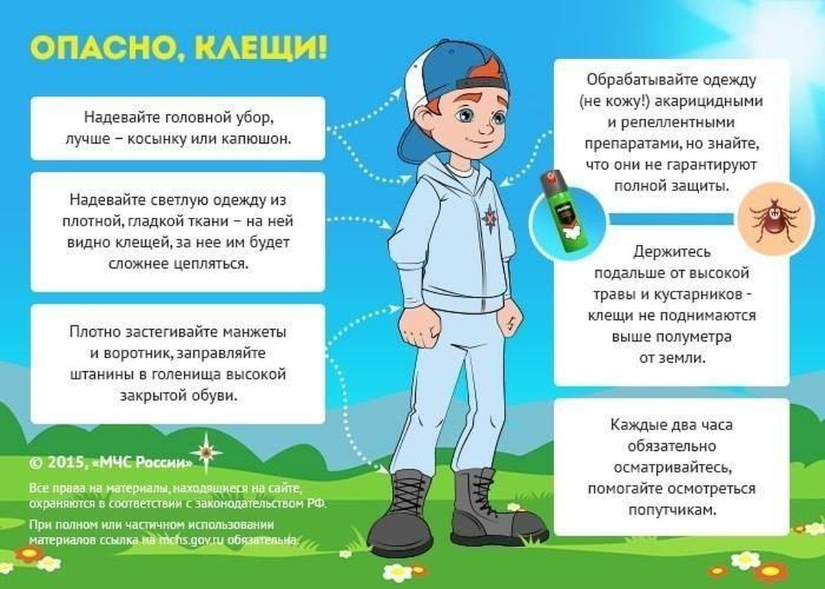 Осторожно клещи папка передвижка для родителей в картинках