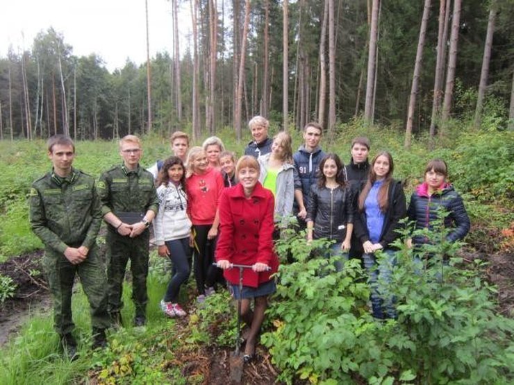 Виноградовское лесничество фото