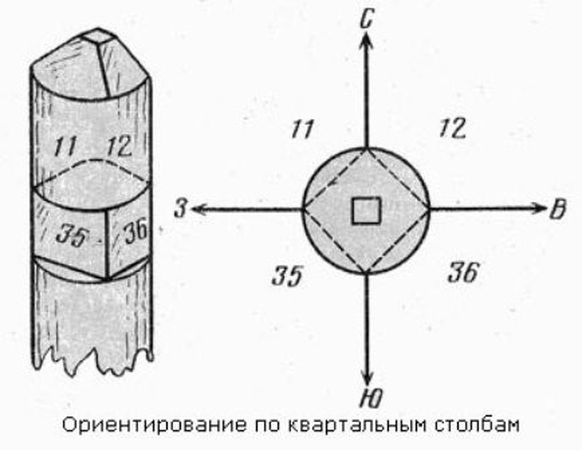 Как ориентироваться по столбам в лесу