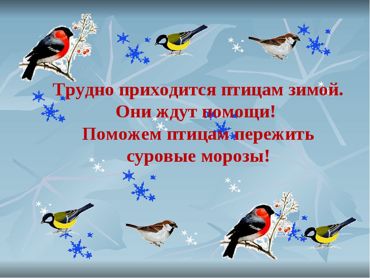 Высказывания о птицах зимой