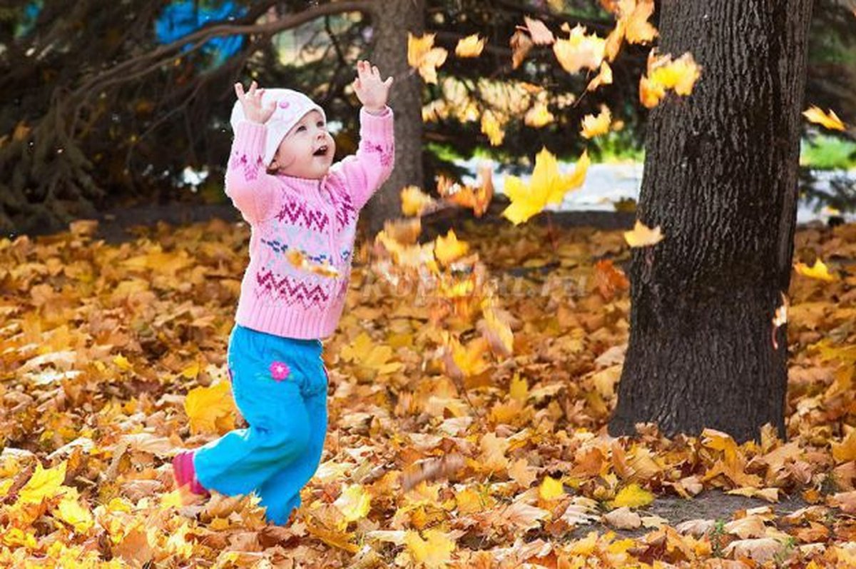 В парк пришла осень. Листопад для детей. Осень для дошкольников. Осенние детские игры на улице. Осень картинки для детей.
