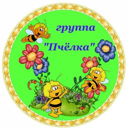 Подготовительная к школе группа № 11 "Пчёлки"