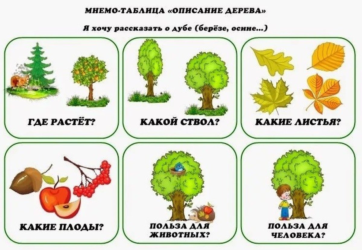 Схема описания дерева