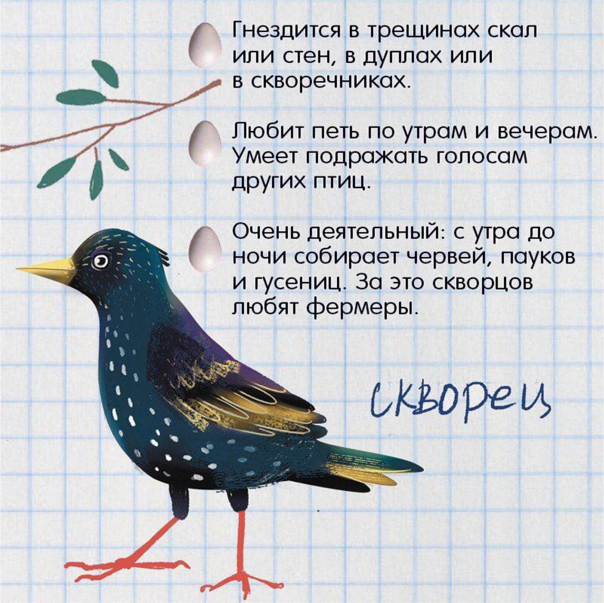 Птичий дневник